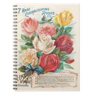 Oude Rozen Retro Advertentie Notitieboek