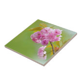 Oude Rozen Tile Tegeltje (Zijkant)