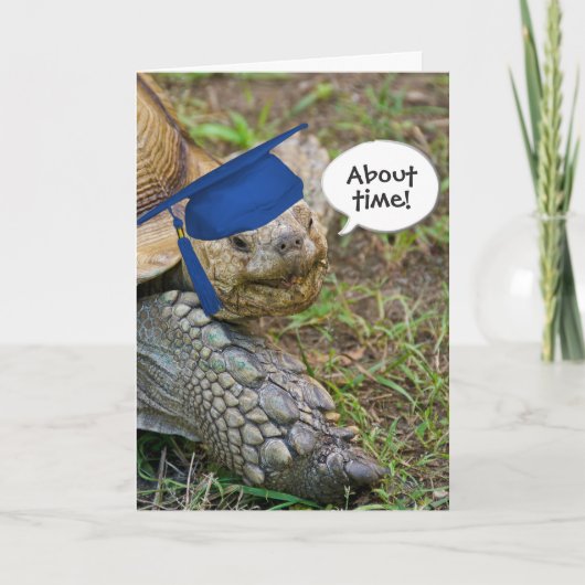 Oude schildpad Afstuderen met blauw Pet Kaart (Voorkant)