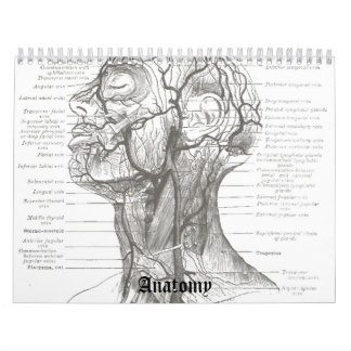 Oude schoolanatomie kalender