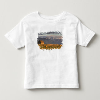 Oude schuur omlijst door hooibalen en dramatisch kinder shirts