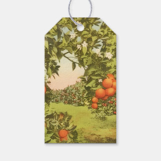 Oude Sinaasappelboomgaard Cadeaulabel