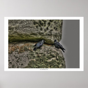 Oude site van Stonehenge & Two Crows Poster