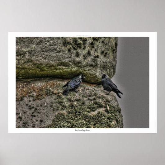 Oude site van Stonehenge & Two Crows Poster (Voorkant)