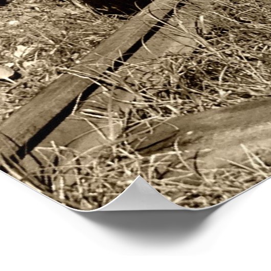 Oude smalbandstoommachine Gr-269 Poster (Hoek)