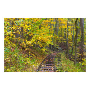 Oude spoorwegen, Blue Ridge Parkway, Virginia Foto Afdruk