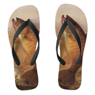 Oude sportvisuitrusting, grote bruine baars visvan teenslippers