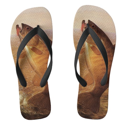 Oude sportvisuitrusting, grote bruine baars visvan teenslippers (Voetbed)