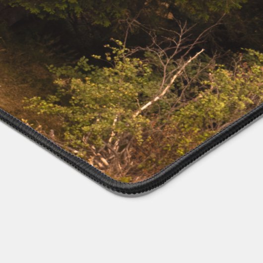 Oude sprusboom die trots is bureaumat (Hoek)