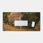 Oude sprusboom die trots is bureaumat (Keyboard & Muis)