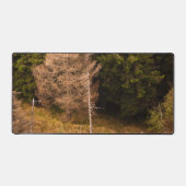 Oude sprusboom die trots is bureaumat (Voorkant)