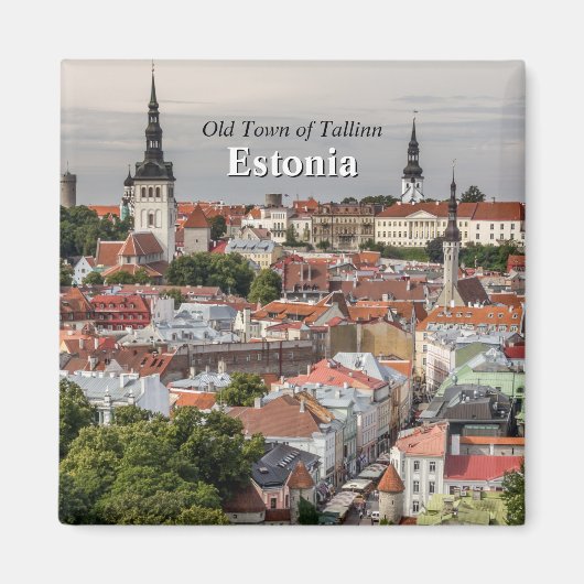 Oude stad Tallinn Estland Magneet (Voorkant)