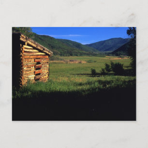 Oude stammen in de buurt van Park City, Utah. (P.R Briefkaart