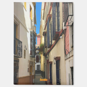 Oude straat in Sevilla, Spanje, reizen Magneet