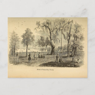 Oude Tampa Bay Briefkaart