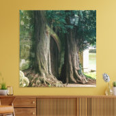 Oude taxusbomen canvas afdruk (Insitu (Woonkamer))