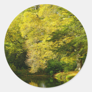 Oude Taxusbomen Klassieke Ronde Sticker