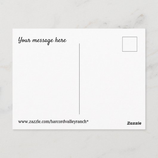 Oude teddy briefkaart (Achterkant)