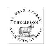 Oude tekening van schapen boerderij dieren C adres Rubberstempel (Afrduk)