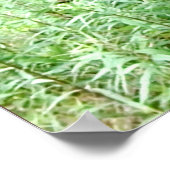 Oude tractor poster (Hoek)