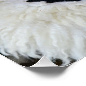 oude traditionele roemeense dacse paganmaskers perfect poster (Hoek)