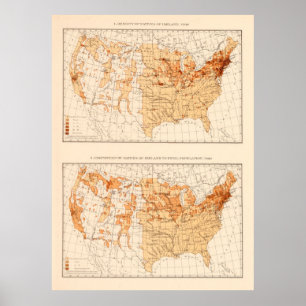Oude US Irish Population Map (1900)  Poster