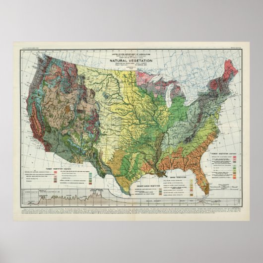 Oude US Natural Vegetation Map (1923) Poster (Voorkant)