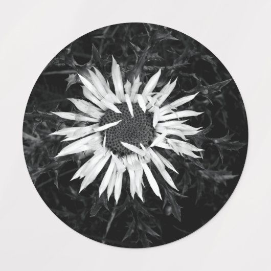 Oude ventilator labels (Design 1)