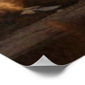 Oude Verlaten 19e-eeuwse saloon mooi Poster (Hoek)