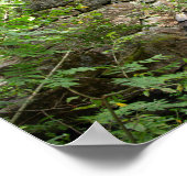 Oude verwoeste brug in het bos poster (Hoek)