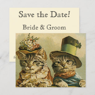 Oude Victoriaanse Grappige Katten in Huten Opslagd Save The Date