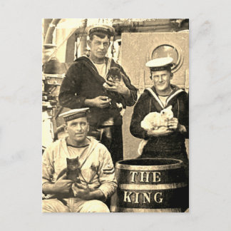 Oude Vintage Foto 3 Zeelieden Die Katten Vasthoude Briefkaart