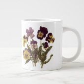 Oude viooltjes in bloei, bloementuin bloemen extra grote mok (Rechts)