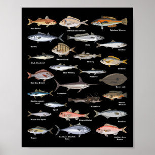 Oude Vis Identificatiekaart Vissen Poster