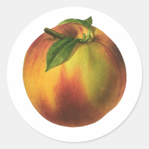 Oude voeding fruit, rijpe biologische perzik met b ronde sticker