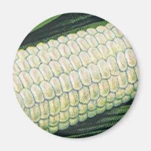 Oude voeding groenten witte maïs aan de kolf magneet