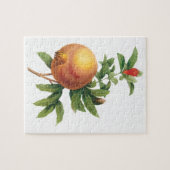 Oude voedingsfruit Granaatappel, door Redoute Legpuzzel (Horizontaal)