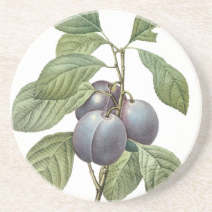 Oude voedingsfruit, paarse tuinpruimen door Redout Zandsteen Onderzetter