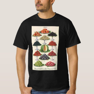 Oude Voedingsmiddelen Gevarieerde Vruchten op Scha T-shirt