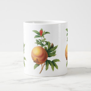 Oude voedingsvrucht, Granaatappel door Redoute Grote Koffiekop