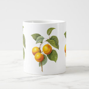 Oude Voedsel Fruit, Abrikoos Perzik door Redoute Extra Grote Mok