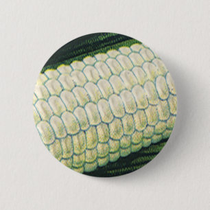 Oude Voedsel Groenten Witte Maïs aan de Kolf Ronde Button 5,7 Cm