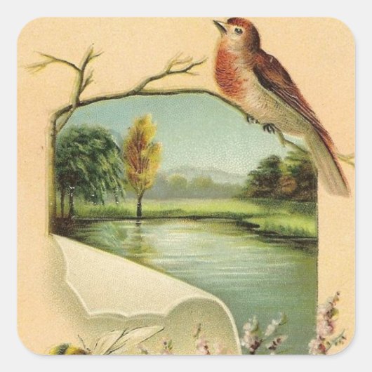 Oude vogel leuk dier sticker (Voorkant)