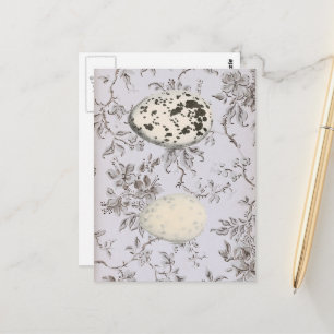 Oude vogeleieren op oude botanische afbeeldingen briefkaart