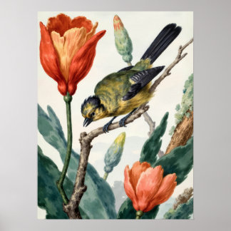 Oude Volkenkundige Botanische Vogel- en Bloemen Mu Poster
