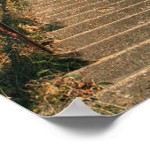 Oude voogd van Kaap Henry Poster (Hoek)