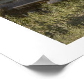 Oude vrachtwagens poster (Hoek)