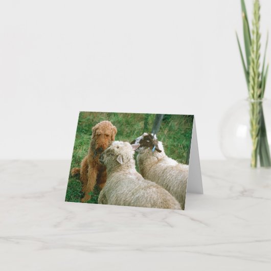 Oude vrienden kaart (Voorkant)