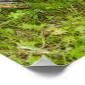 Oude wagon in oude gouden stad 3 poster (Hoek)