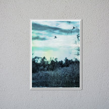 Oude Waterverf met een Vogelglanzend Poster